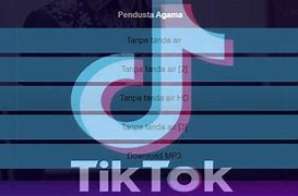 Aplikasi Download Video Tiktok Dan Ig